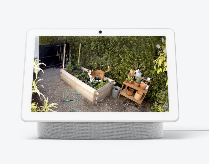 Google Nest Cam footage of a dog in a garden 